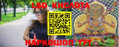 спайс Будённовск