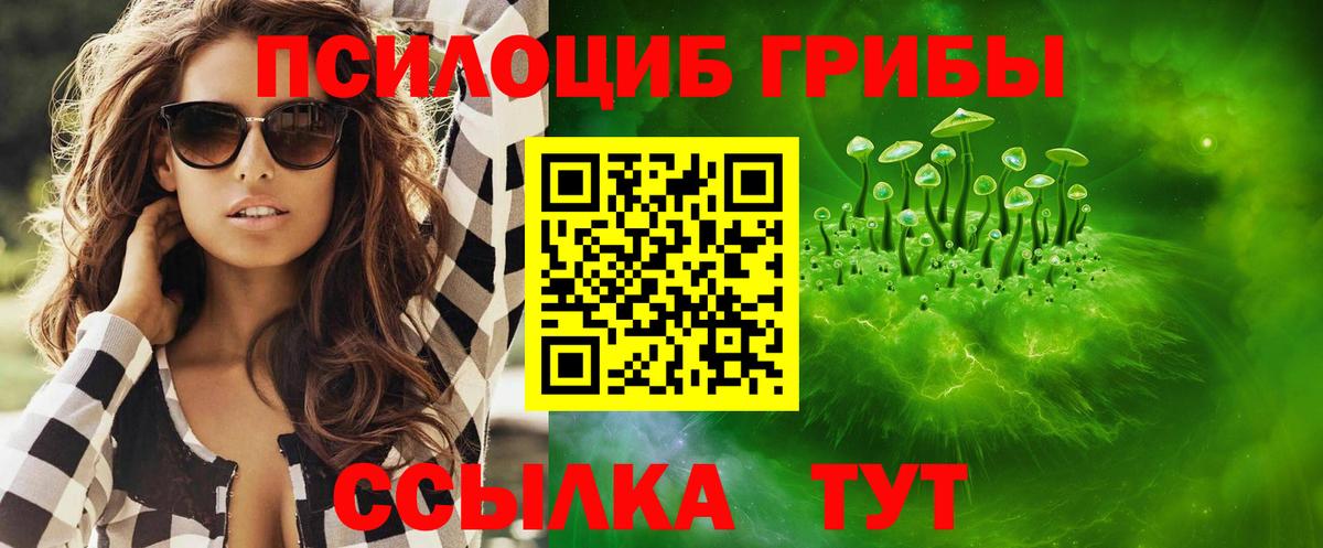 Псилоцибиновые грибы мухоморы  где можно купить   Кунгур  Вход с VPN  Псилоцибиновые грибы Psilocybe 